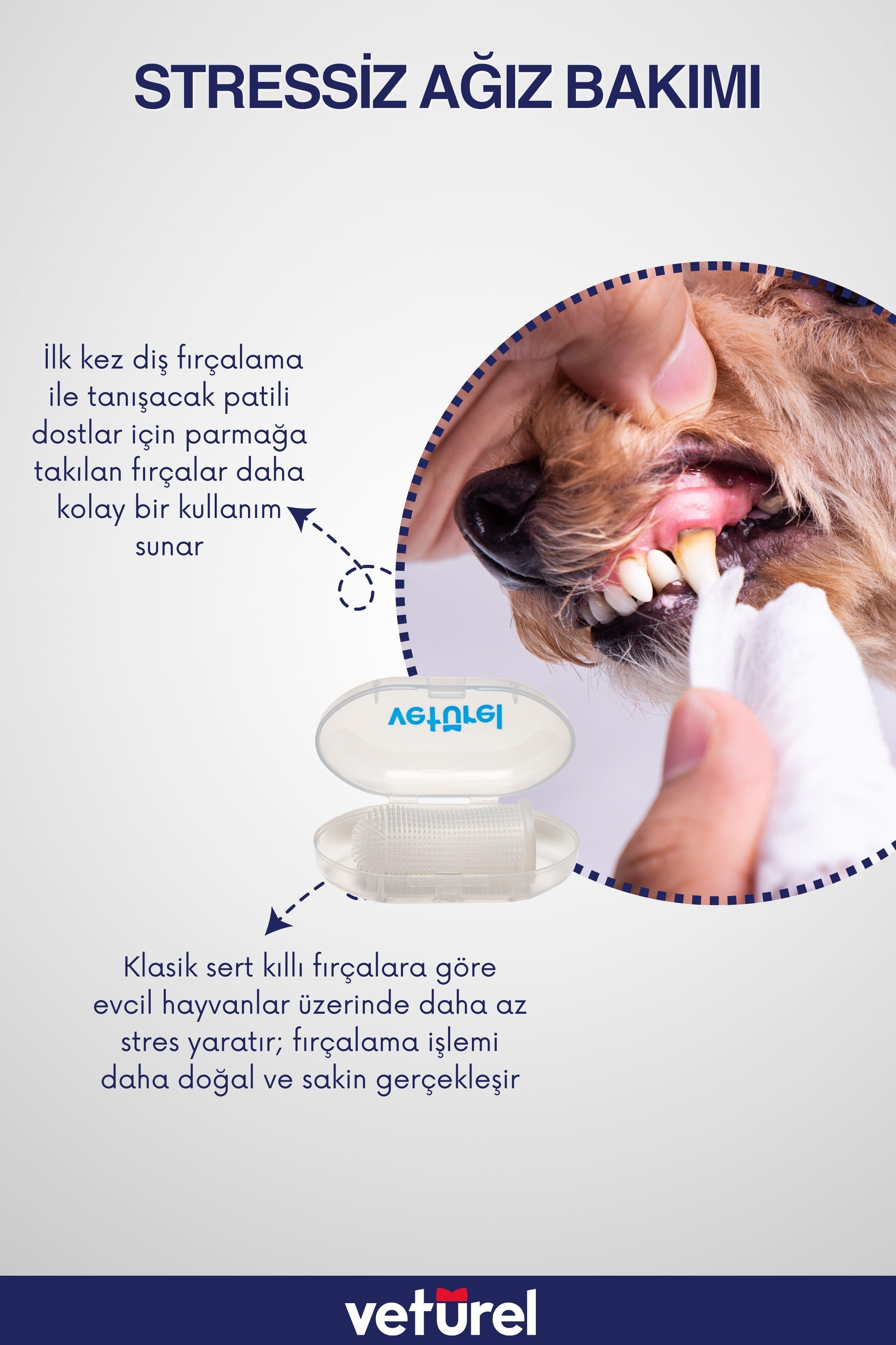 Köpek Diş Fırçası Parmak Fırça Silikon Fırça Köpek Ağız Kokusu Plak Tartar Hijyenik Saklama Kutulu