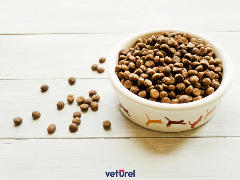 kedi maması neden yapılır 