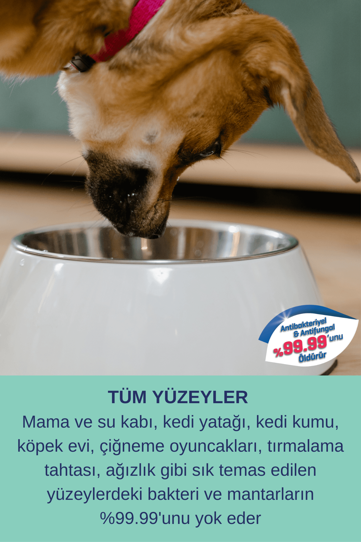 Pet Antibakteriyel Hipoalerjenik Hijyen Spreyi 750mL ve Pati Tüy Temizlik ve Koku Giderici 300mL Set