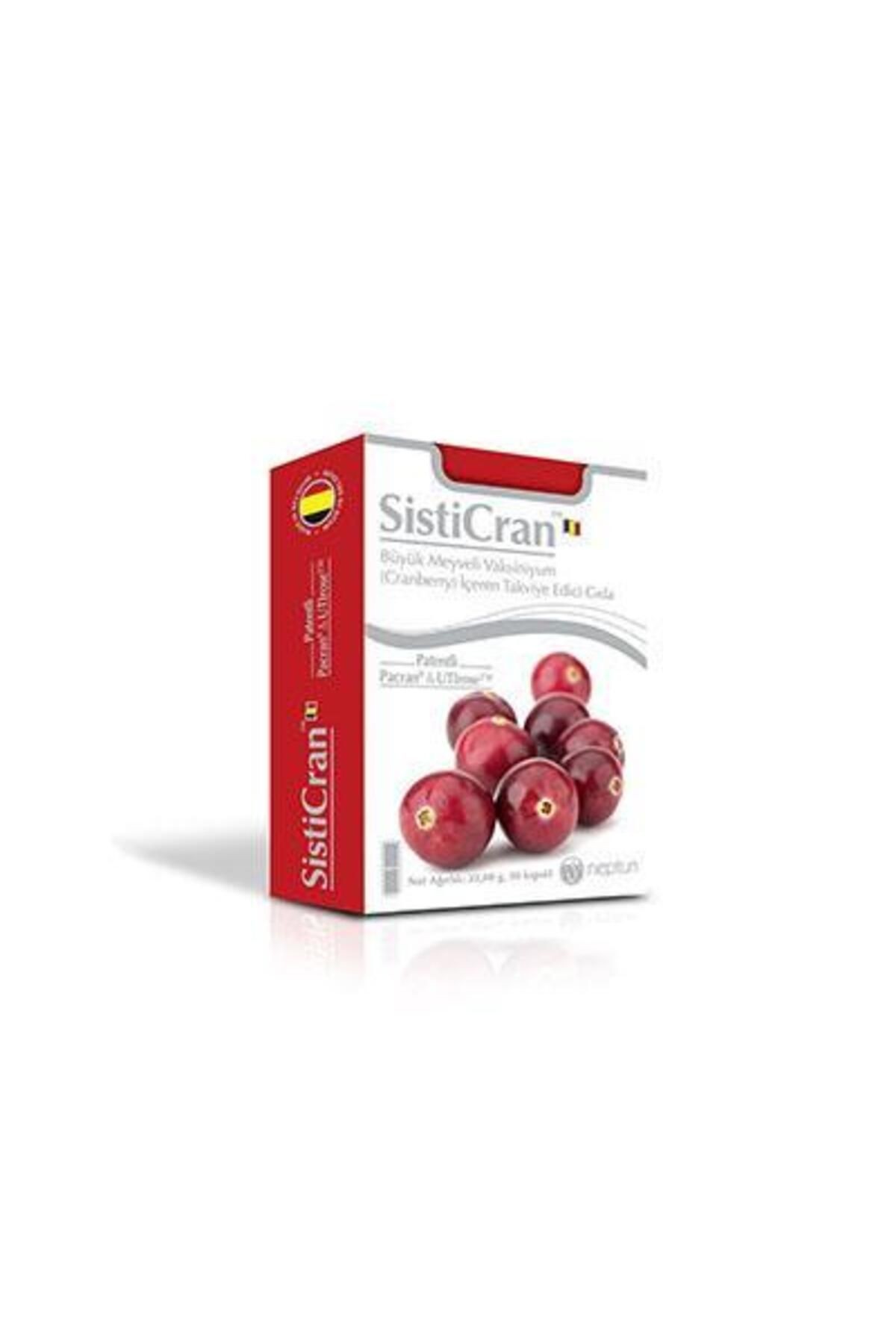NEPTUN SİSTİCRAN CRANBERRY 15 KAPSÜL