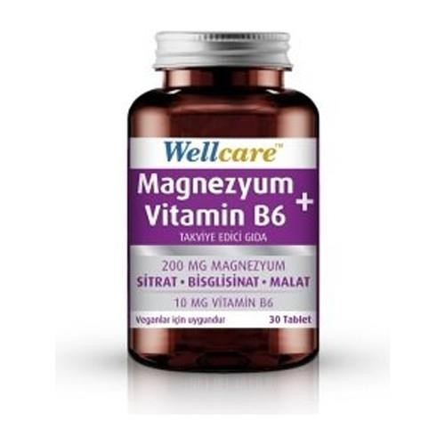 Wellcare Magnezyum ve Vitamin B6 30 Tablet