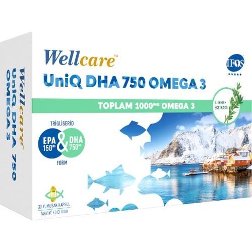 Wellcare Omega 3 UniQ DHA 750 30 Kapsül