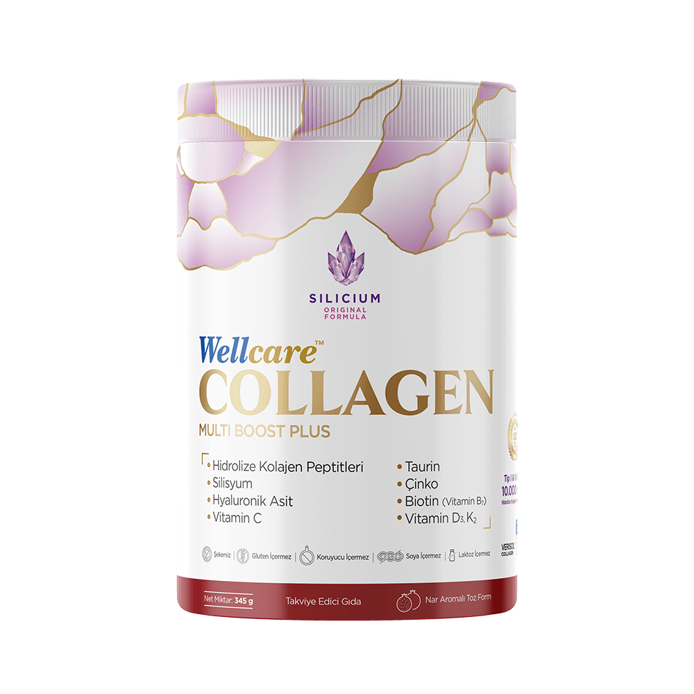 Wellcare Collagen Multi Boost Plus Nar Aromalı 345 g Toz