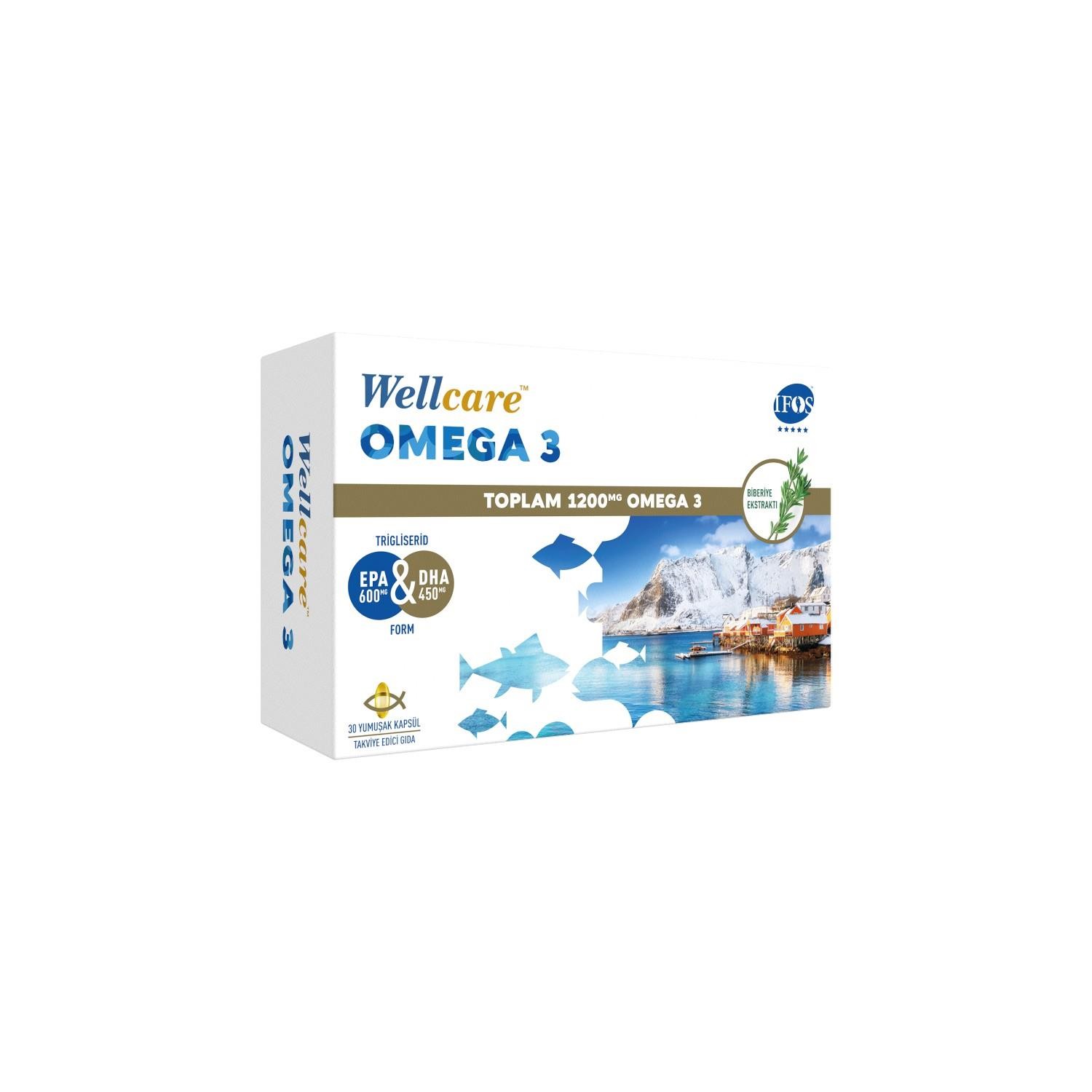 Wellcare Omega 3 30 Kapsül