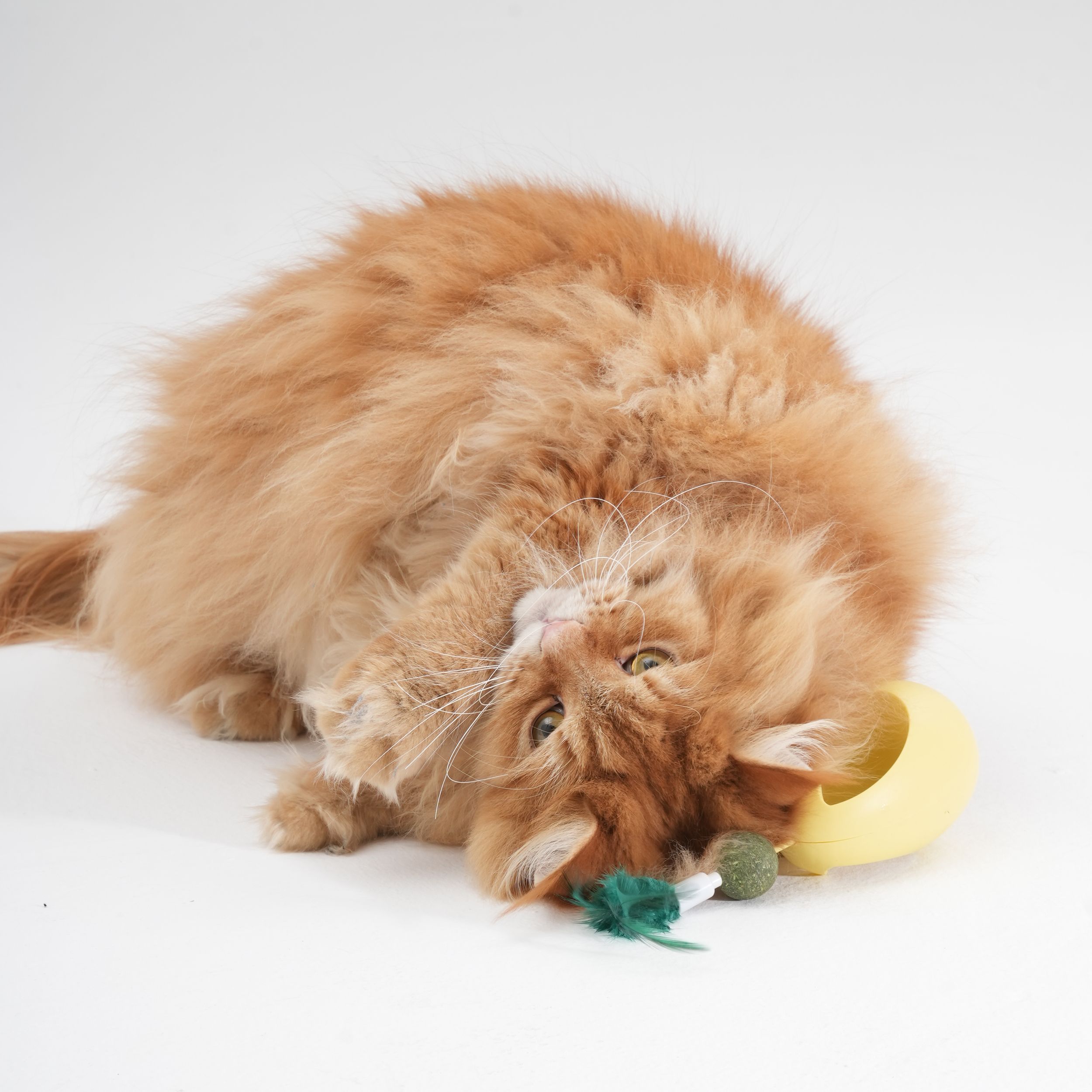 Kedi Otlu Hacı Yatmaz Oyuncak – Patili Çılgınlık Başlıyor!