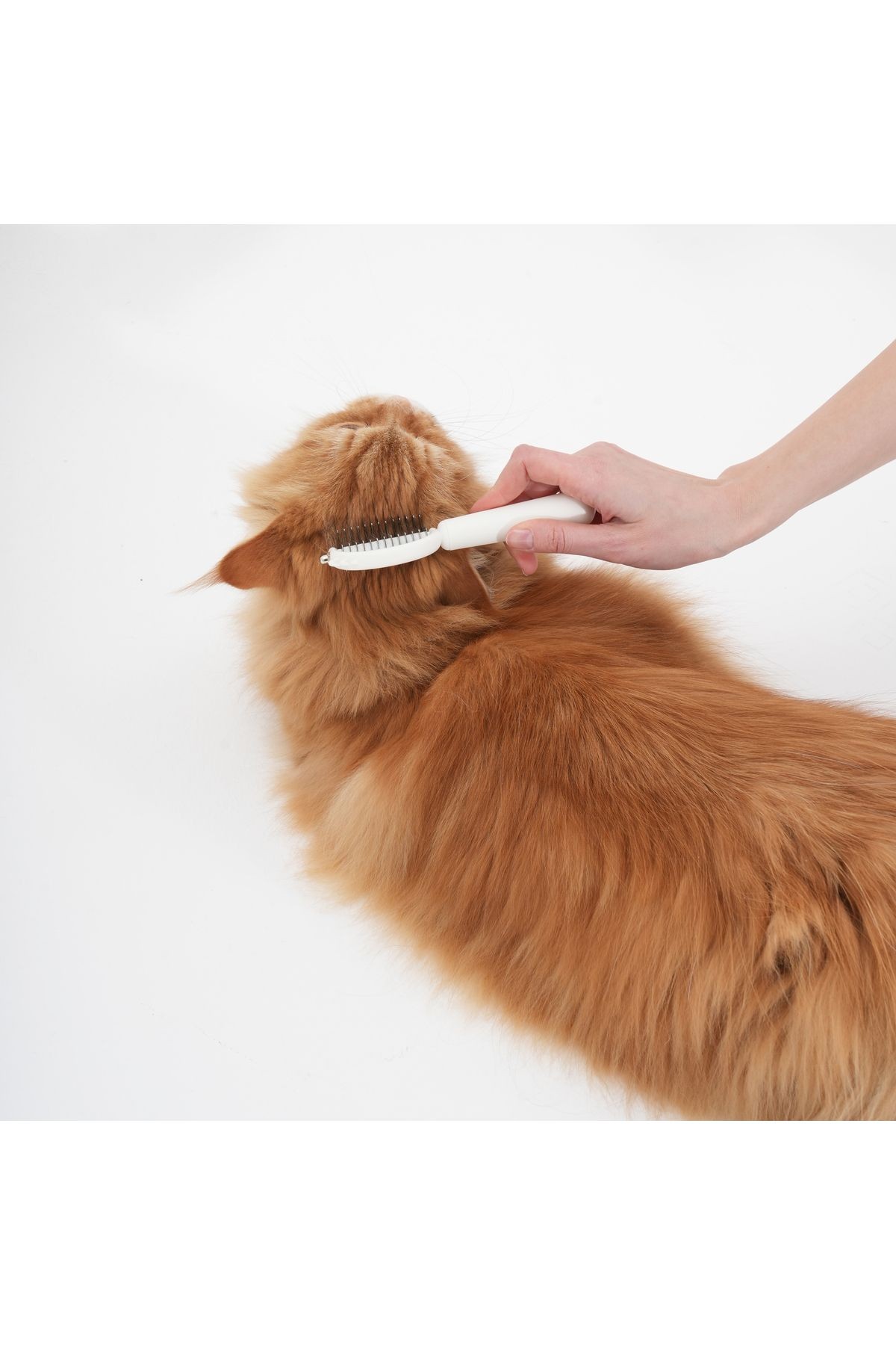 Masaj Etkili ve Derin Temizlik Sağlayan Kedi & Köpek Tarağı