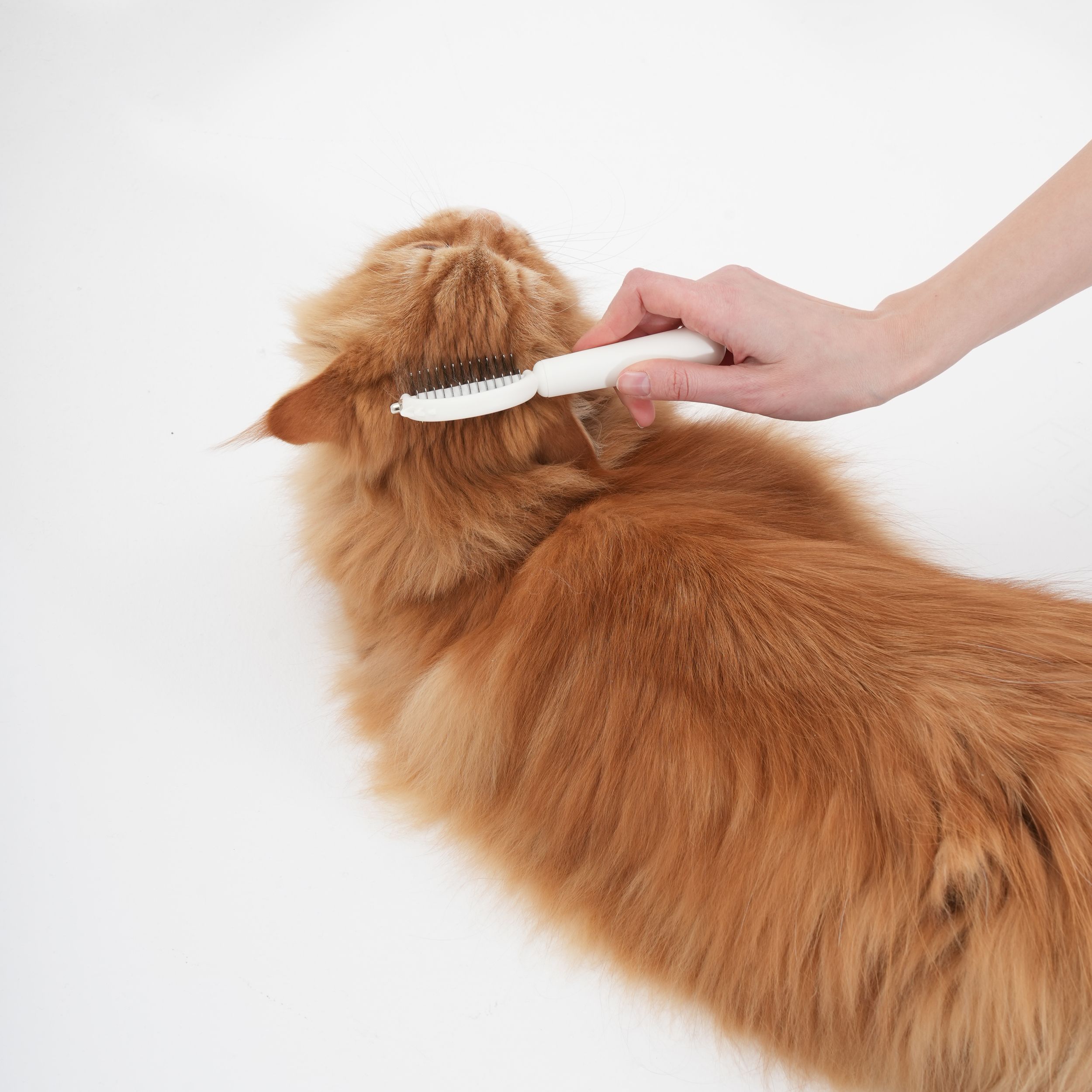 Masaj Etkili ve Derin Temizlik Sağlayan Kedi & Köpek Tarağı
