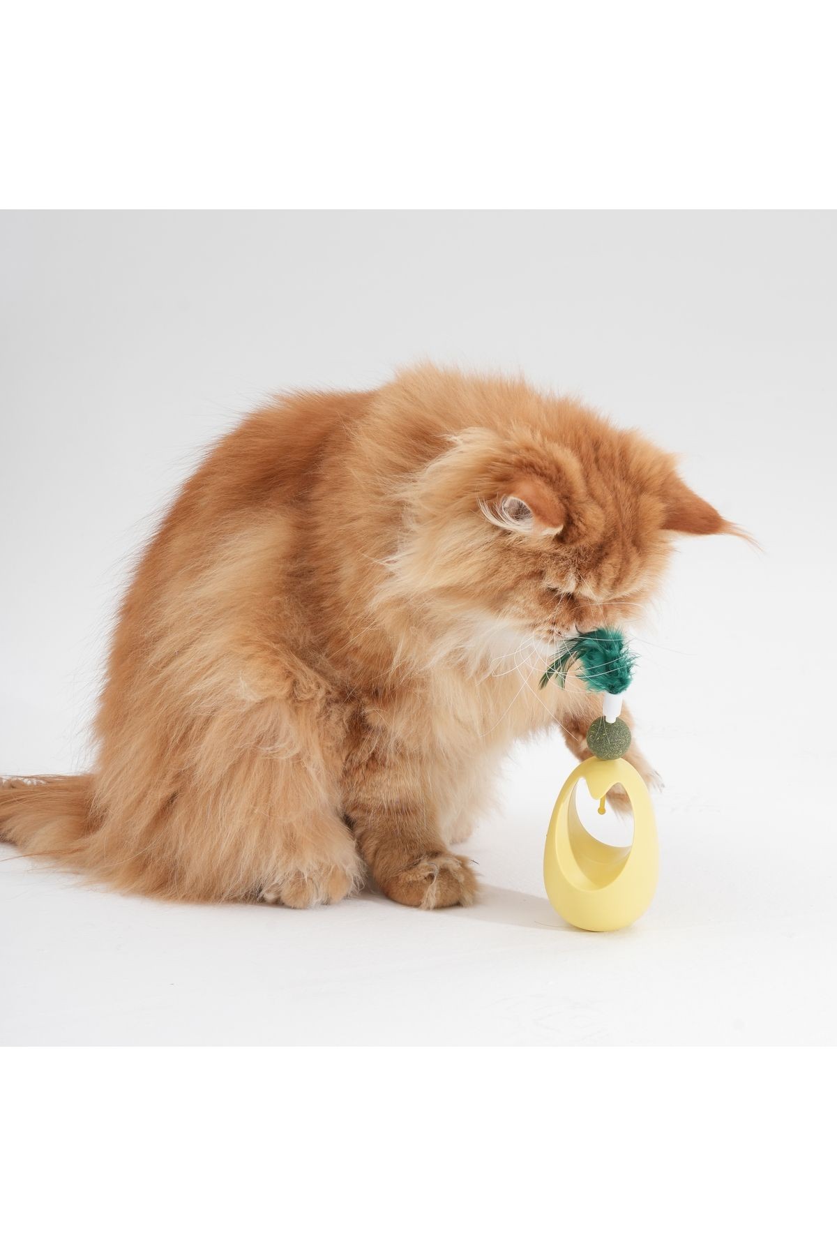 Kedi Otlu Hacı Yatmaz Oyuncak