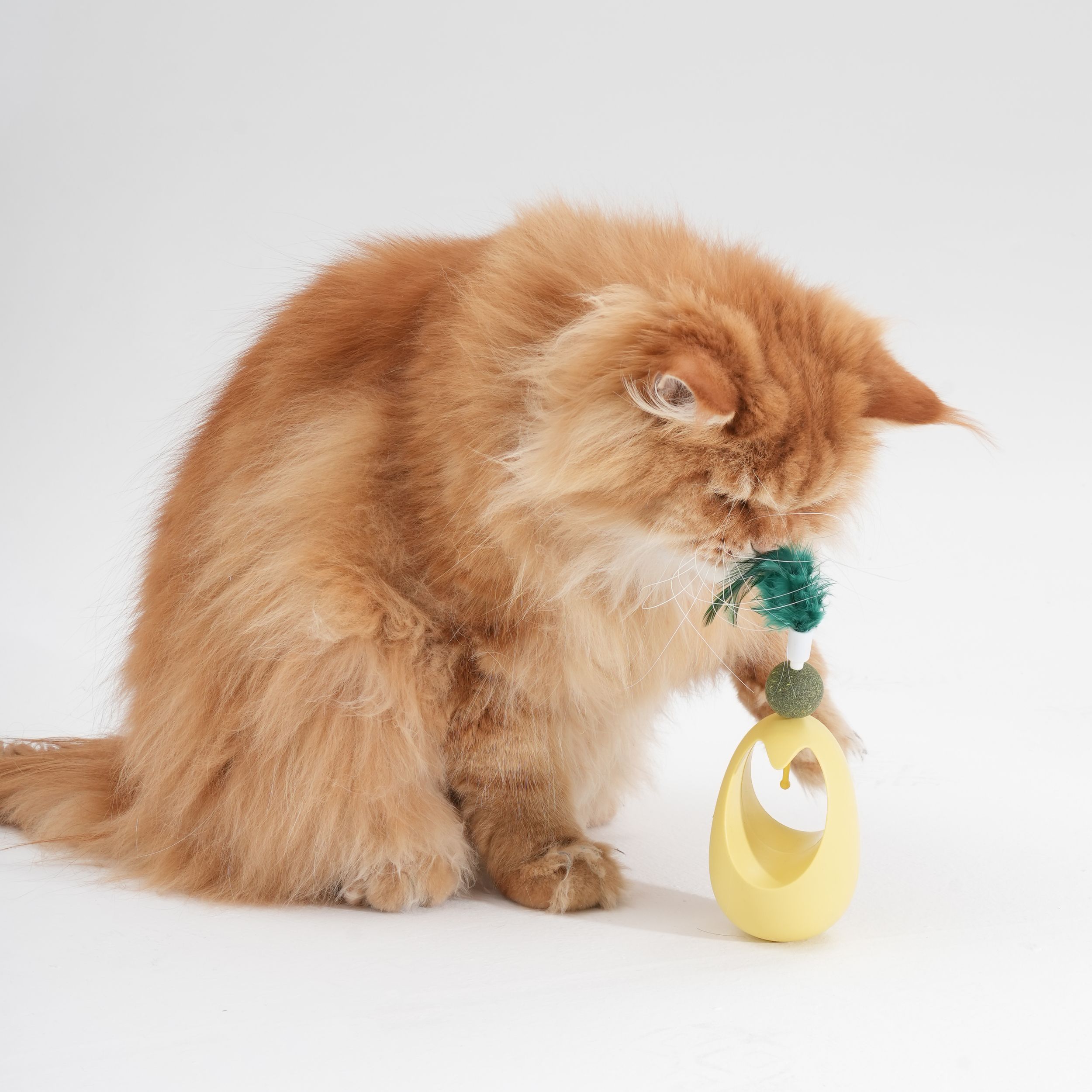 Kedi Otlu Hacı Yatmaz Oyuncak – Patili Çılgınlık Başlıyor!