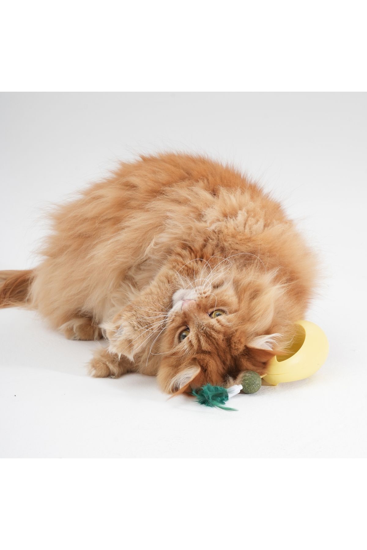 Kedi Otlu Hacı Yatmaz Oyuncak