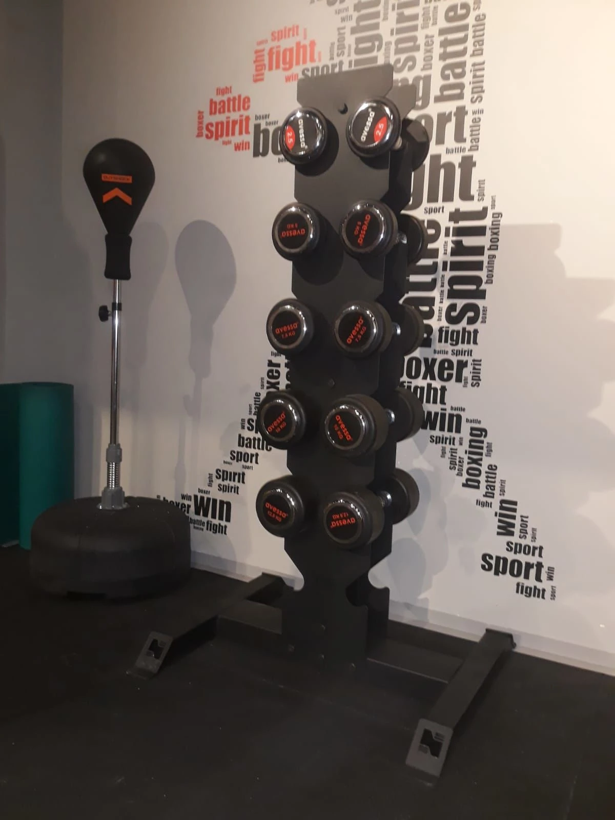Vertical Dumbell Standı