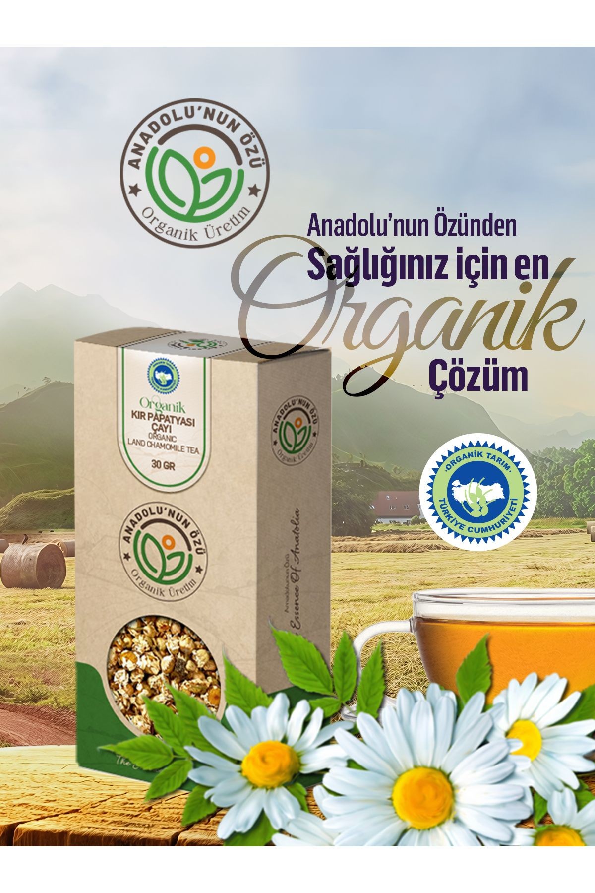 Organik Mayıs Papatyası Çayı ''30gr''