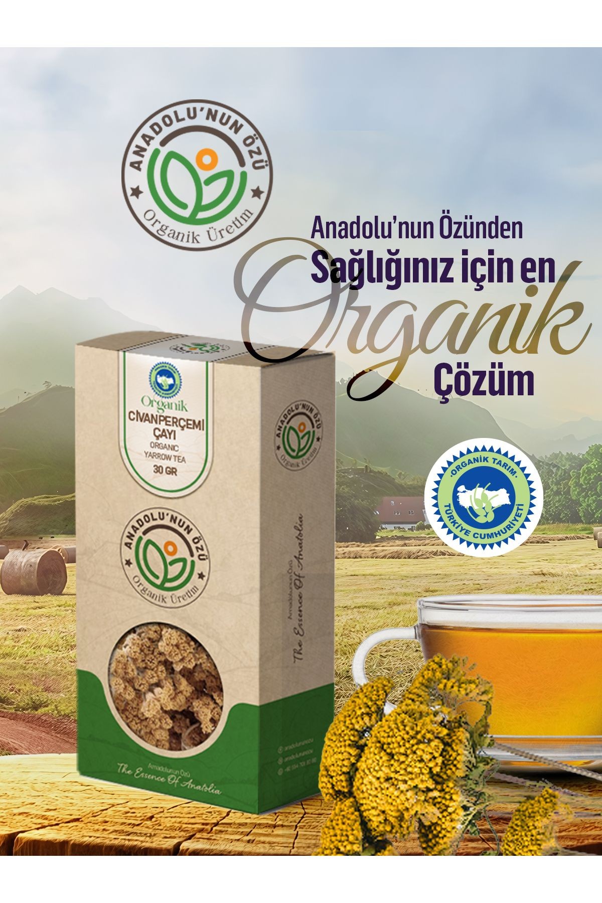 Organik Civan Perçemli Bitki Çayı ''30gr''