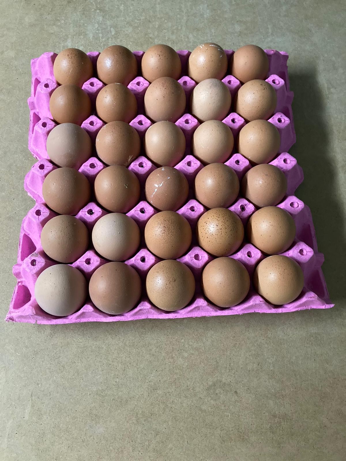 Double Sarı Yumurta 30 Lu