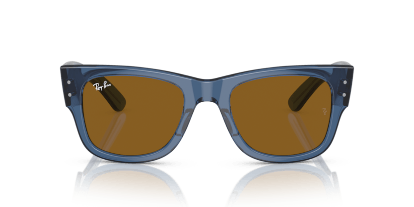 RAYBAN 0RB0840S 668073 51 Unisex Güneş Gözlüğü