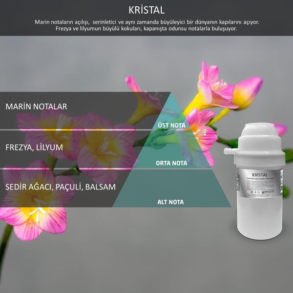 Rulopak Nanoplus M7 Koku Kartuşu