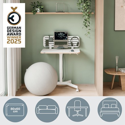 Leitz ERGO Küçük Sit Standing Çalışma Masası