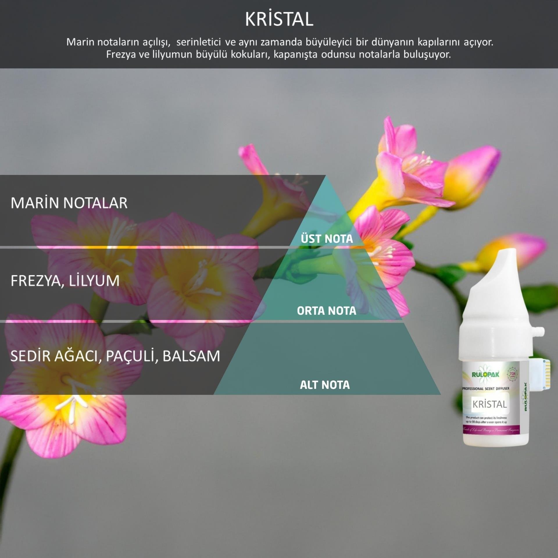 Rulopak Cosmic M5 Koku Kartuşu 100 ml