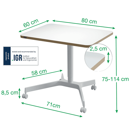 Leitz ERGO Küçük Sit Standing Çalışma Masası