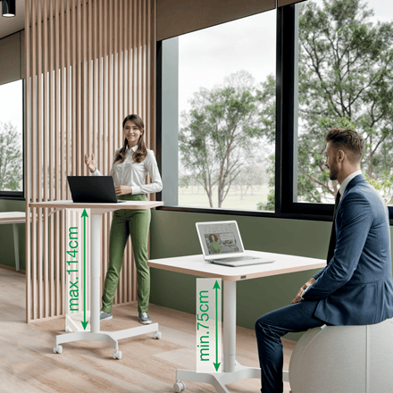 Leitz ERGO Küçük Sit Standing Çalışma Masası