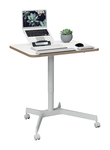 Leitz ERGO Küçük Sit Standing Çalışma Masası