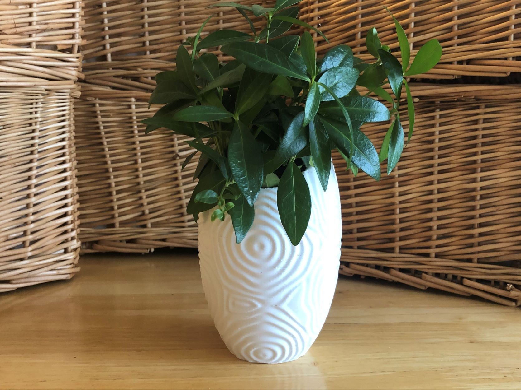 Modern White Vase