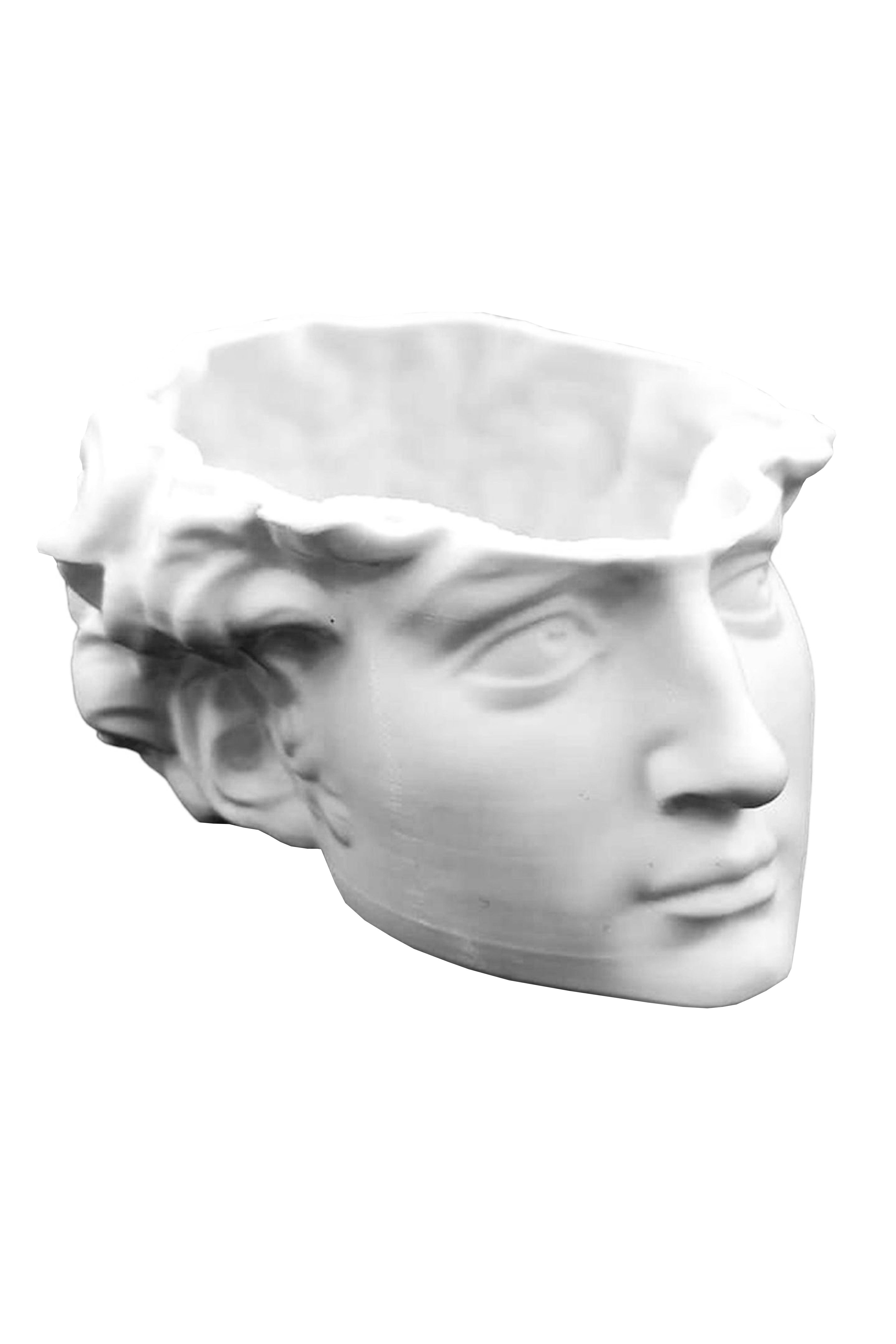 Michelangelo David Kafası Mini Saksı Kaktüs,Çiçek