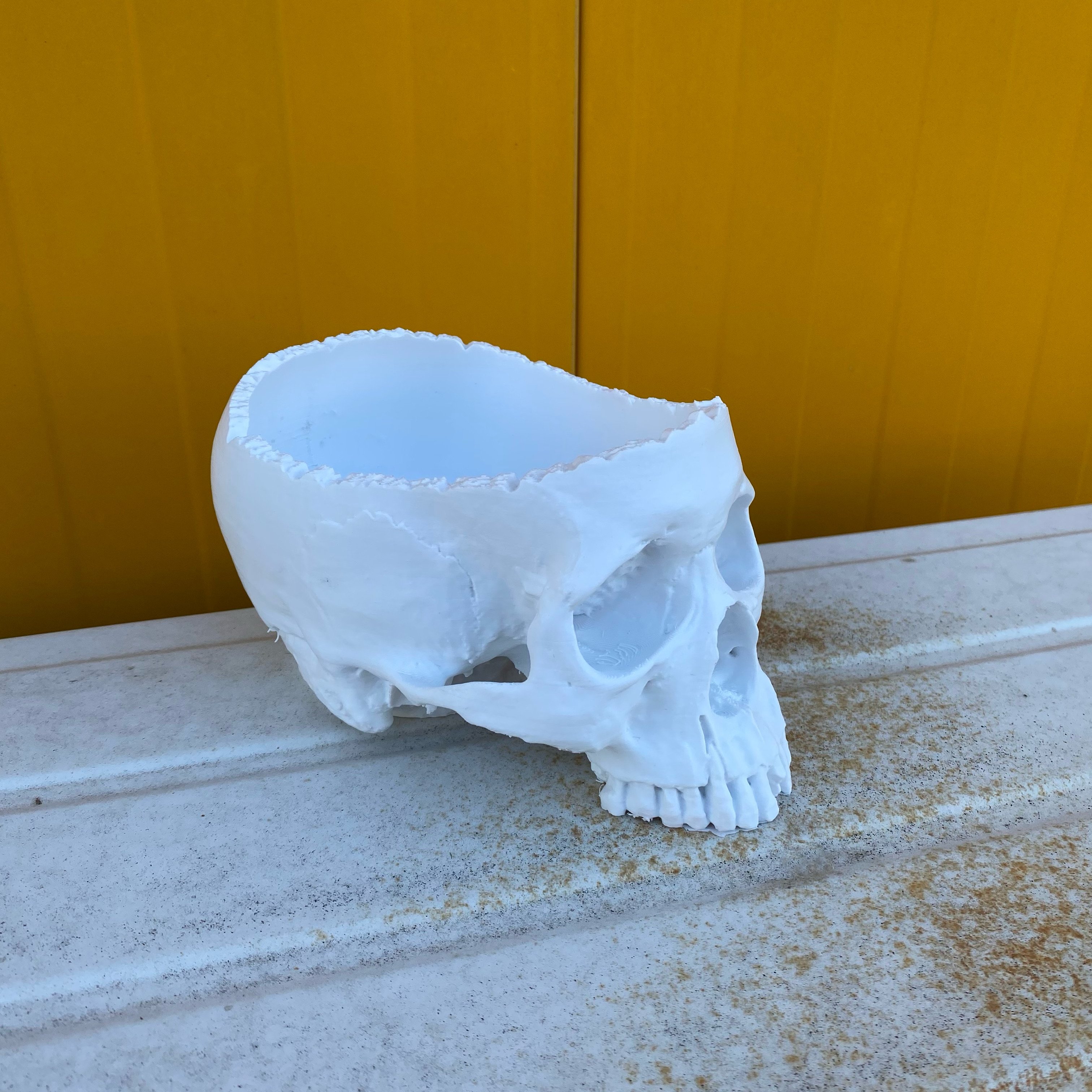 Skull Bowl 