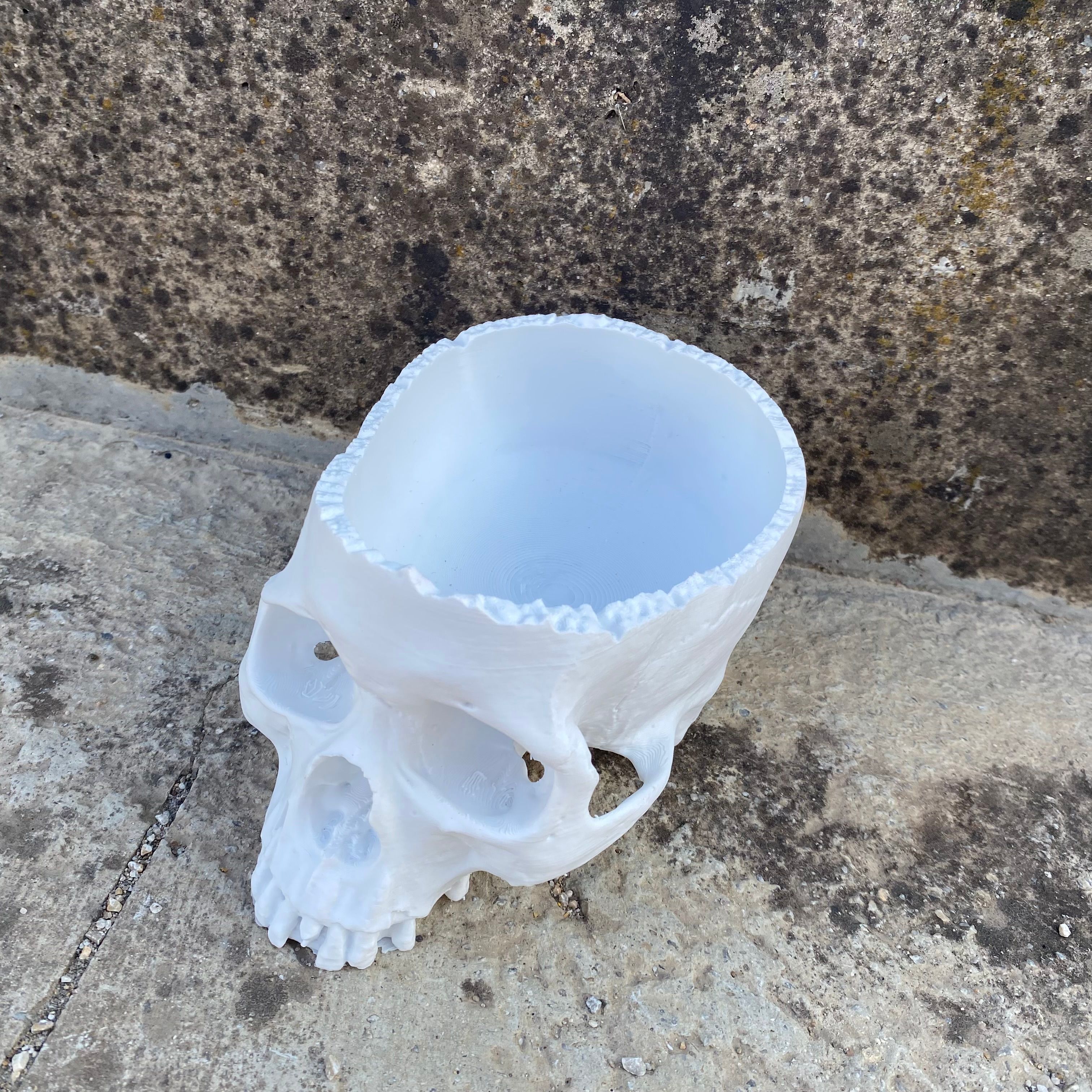 Skull Bowl 