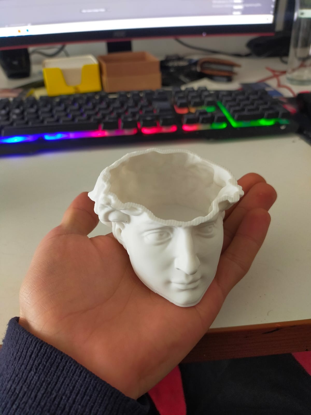 Michelangelo David Kafası Mini Saksı Kaktüs,Çiçek