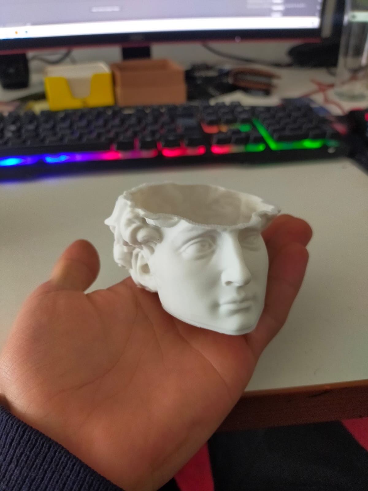 Michelangelo David Kafası Mini Saksı Kaktüs,Çiçek