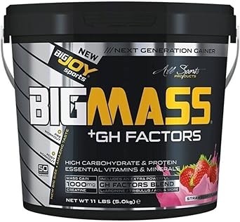 Bigjoy Bigmass Gh Factors Karbonhidrat Tozu - Çilek Aromalı 5000 GR