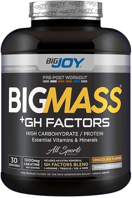 Bigjoy Bigmass Gh Factors Karbonhidrat Tozu - Çikolata Aromalı 3000 GR