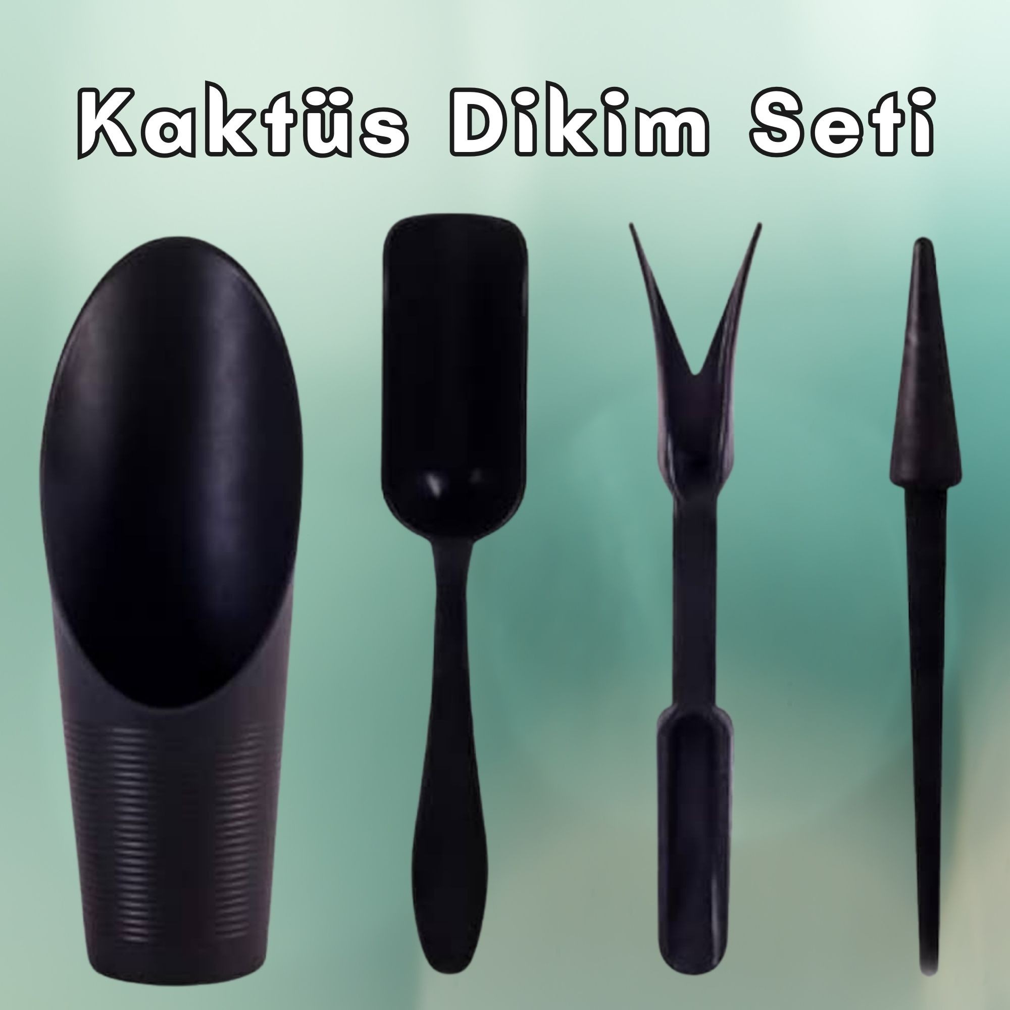KAKTÜS DİKİM SETİ