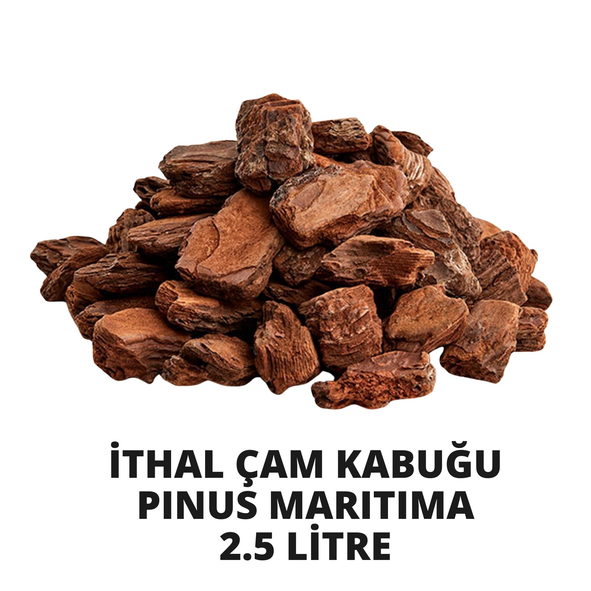 İTHAL ÇAM KABUĞU 2.5 LİTRE