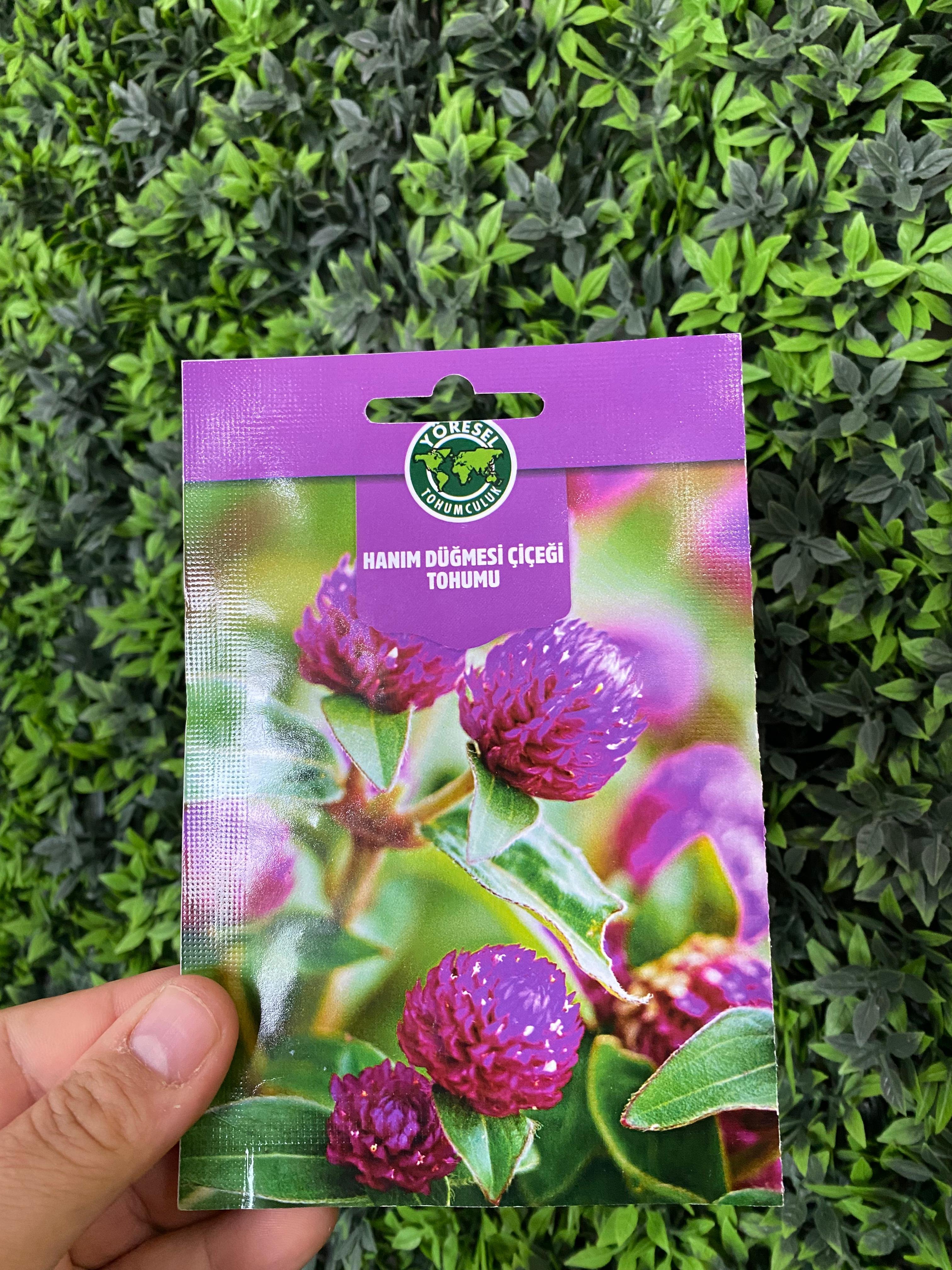 HANIM DÜĞMESİ ÇİÇEK TOHUMU