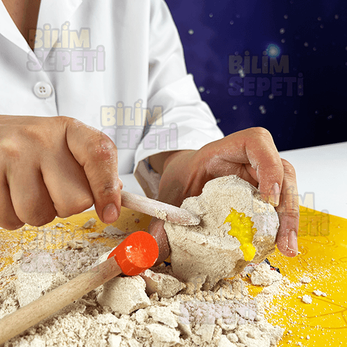 Bilim Seti Dinozor Yumurta Fosili