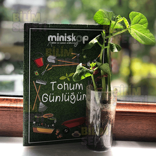 Bilim Seti Tohum Günlüğü
