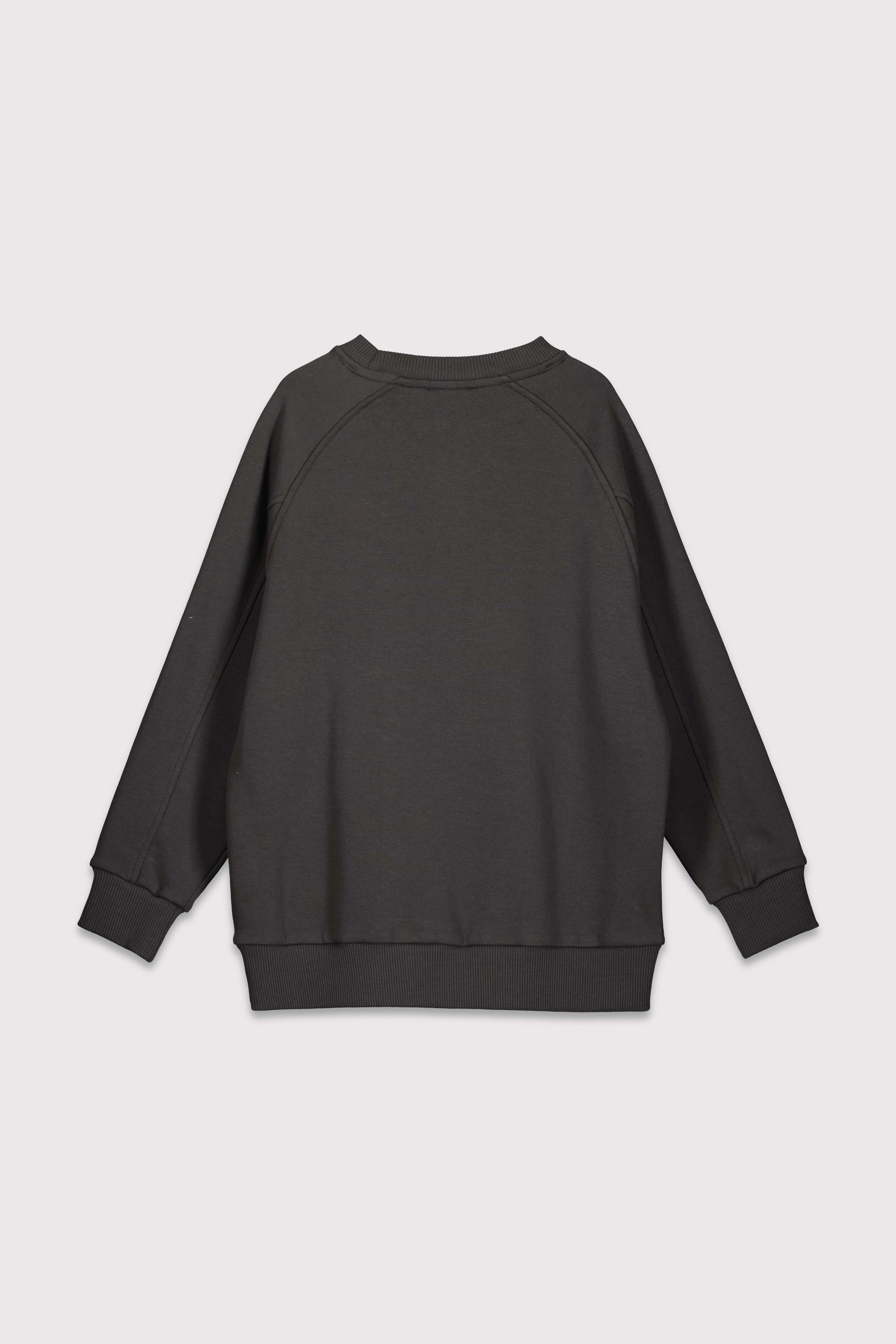 Reglan Kol Etiketli Sweatshirt - ANTRASİT