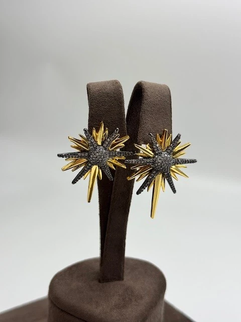 DS-2025340 KUZEY YILDIZI KÜPE