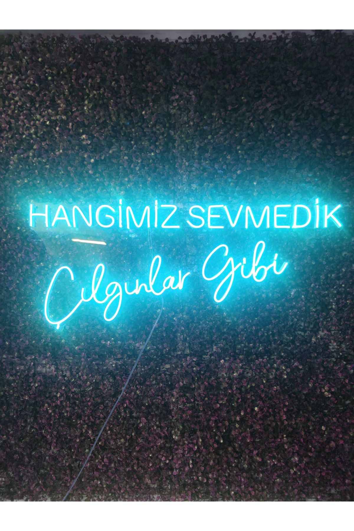 Hangimiz Sevmedik Çılgınlar gibi Müslüm Gürses Neon Led Tabela(80x35cm)