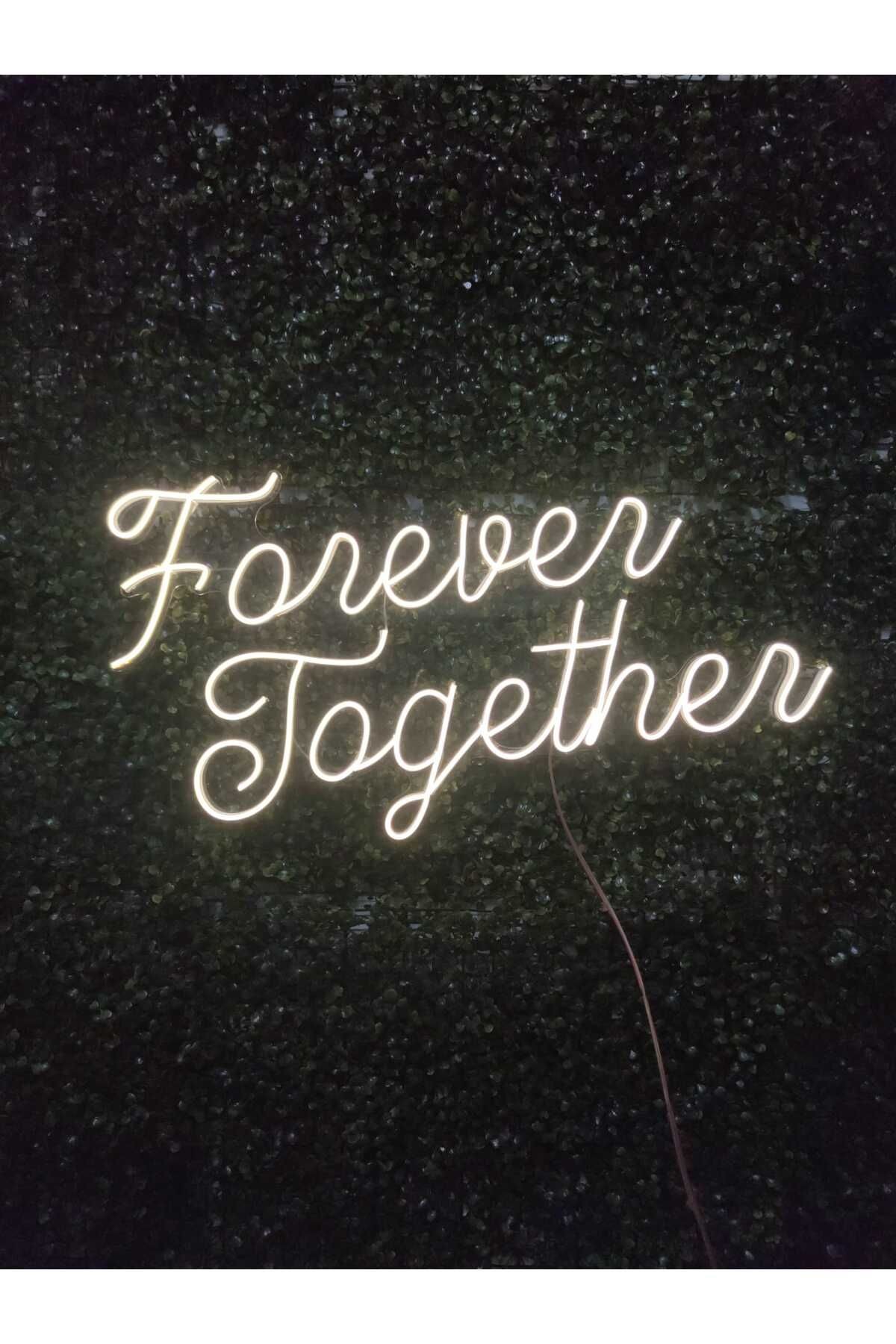 Forever Together Nişan Söz Arka plan aydınlatma neon(70x35cm)