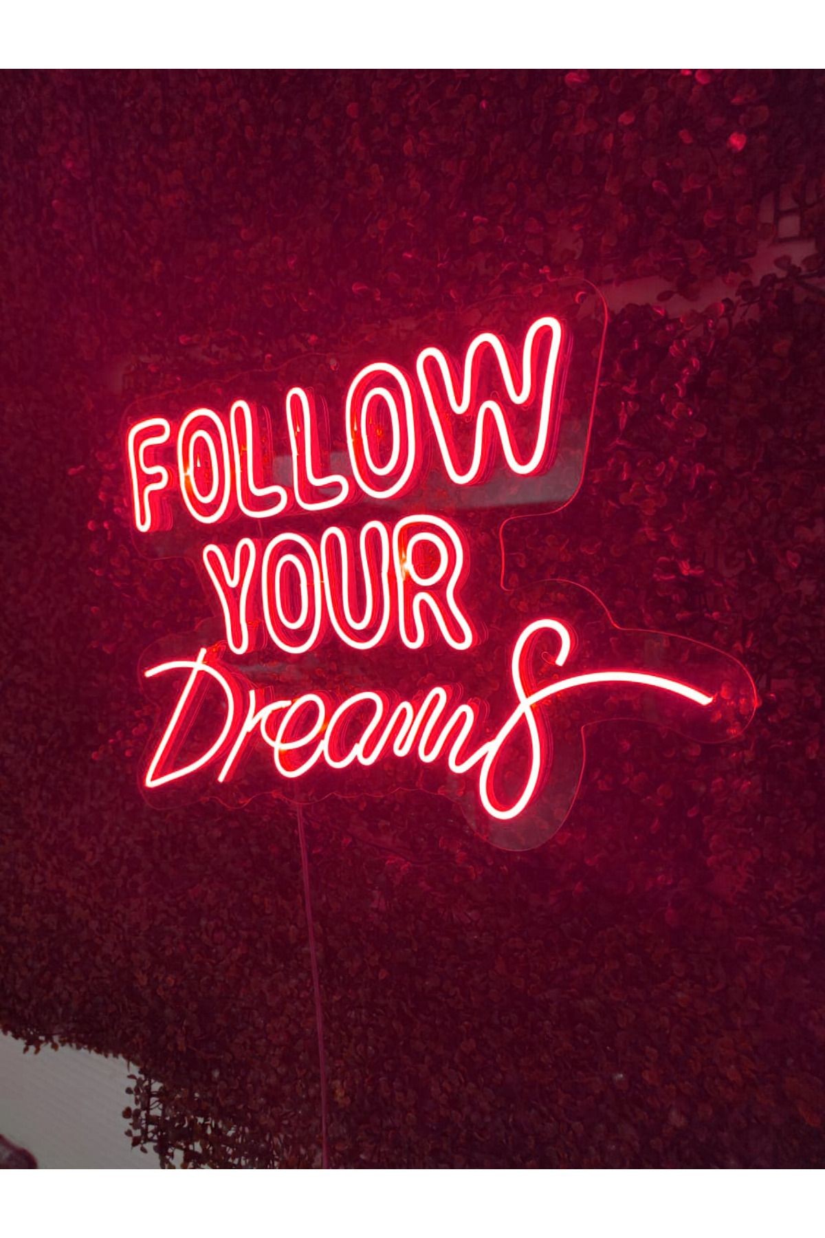 Follow Your Dreams Yazılı Neon Led tabela Dekoratif Aydınlatma(60x40cm)