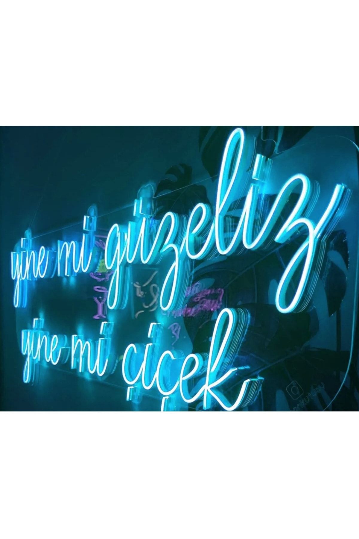 Yine Mi Güzeliz Yine Mi Çiçek Yazısı Güzellik Merkezi Kuaför Neon Led Tabela (60x40cm)