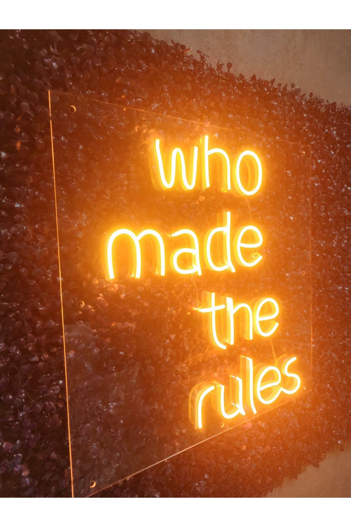 Who made the rules neon yazı led tabela