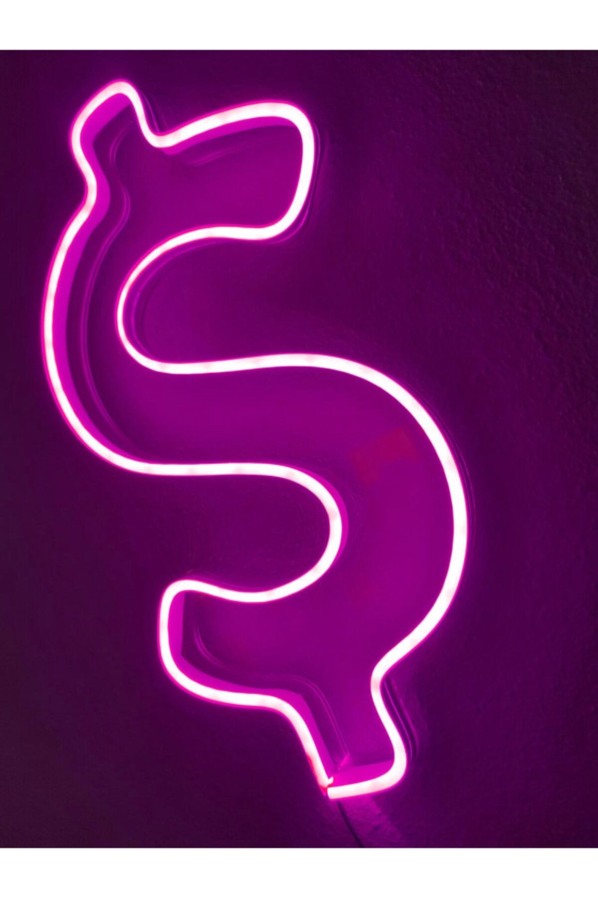 Dolar Neon Şekiller Işaret Neon Led Dekoratif Duvar Aydınlatması Neon Duvar Yazısı