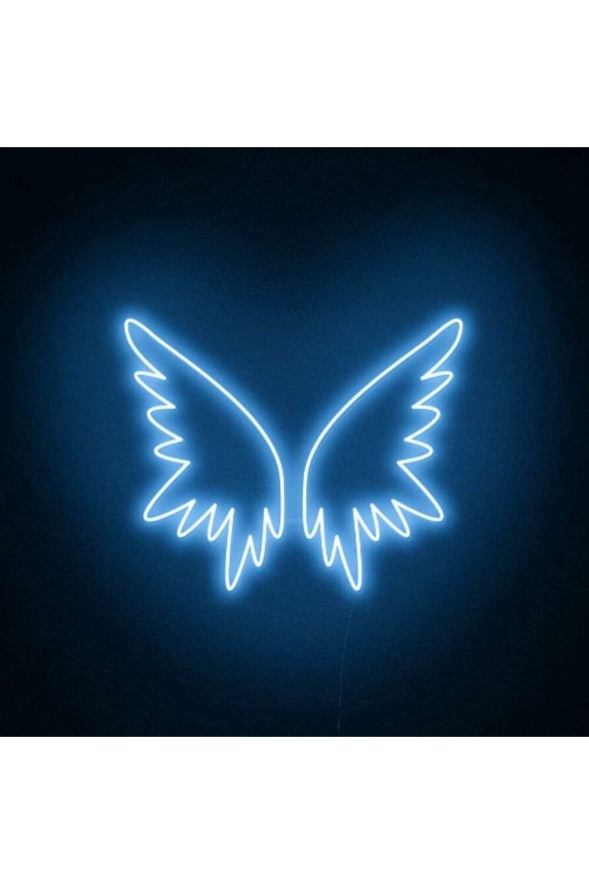 Melek Kanadı Neon Led Aydınlatma