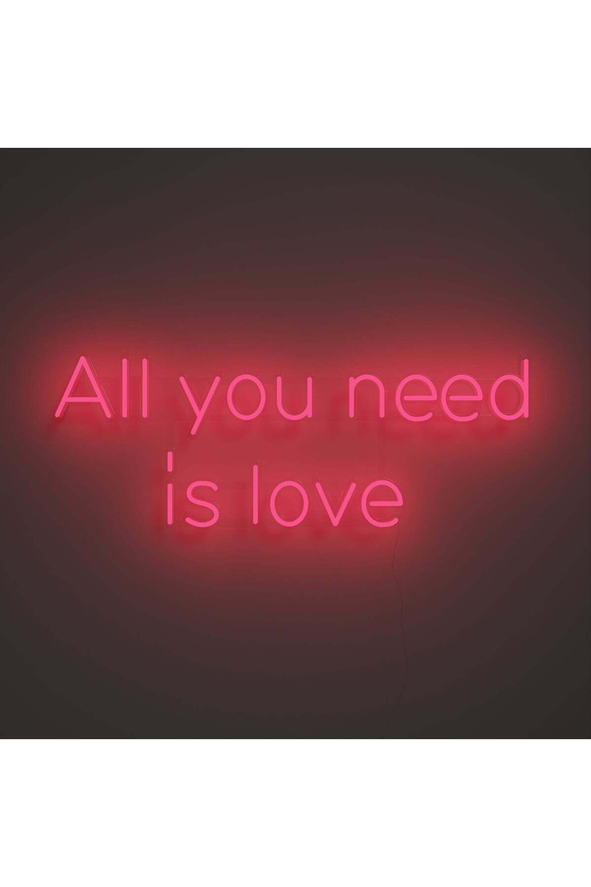 All you need is love Neon Dekoratif Aydınlatma