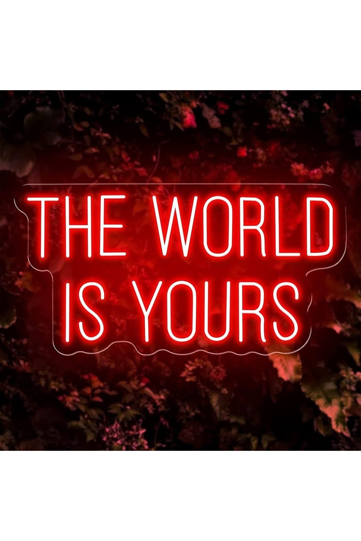 The World Is Yours Neon Tabela Neon Yazı Dekoratif Aydınlatma Ve Gece Lambası