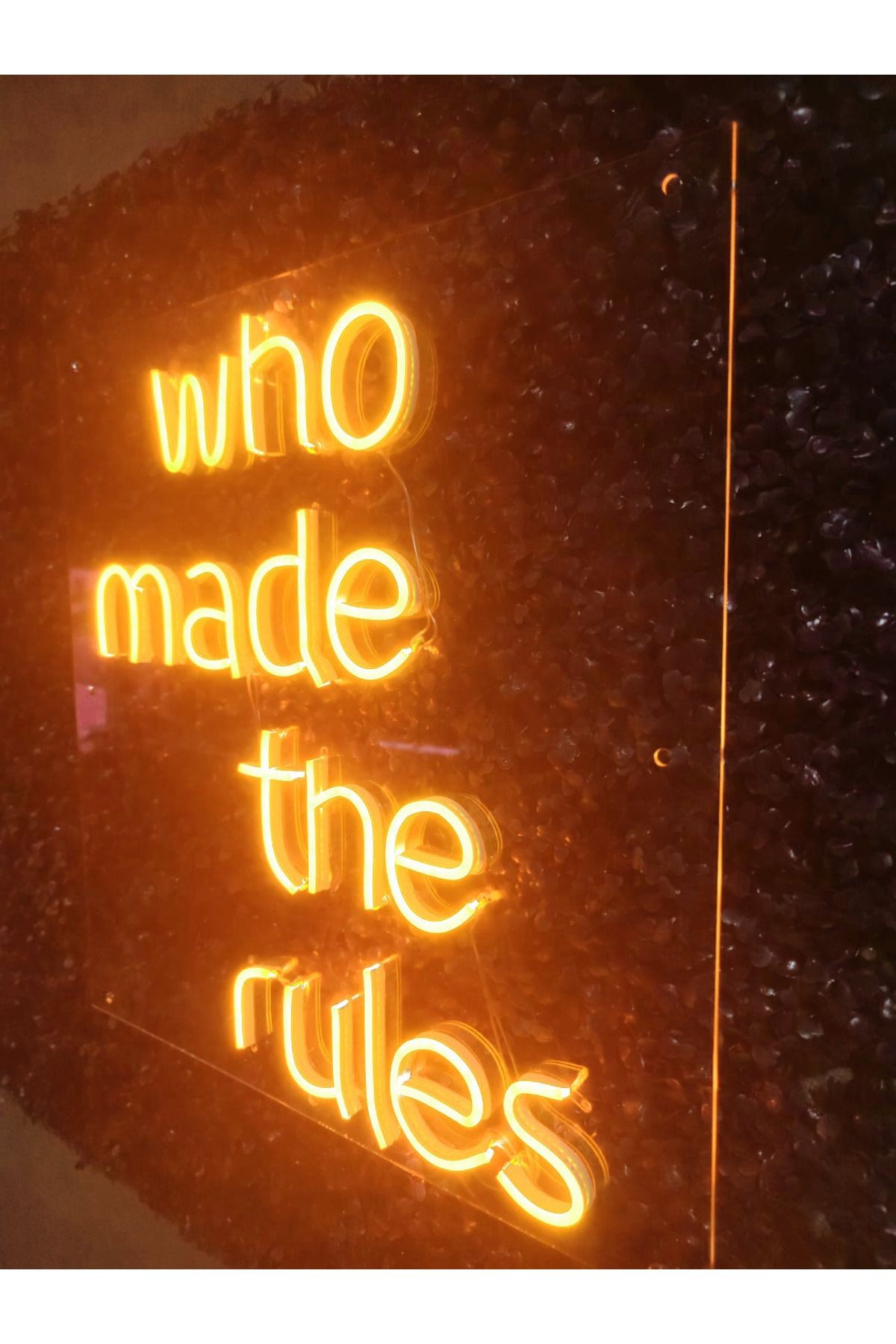 Who made the rules neon yazı led tabela
